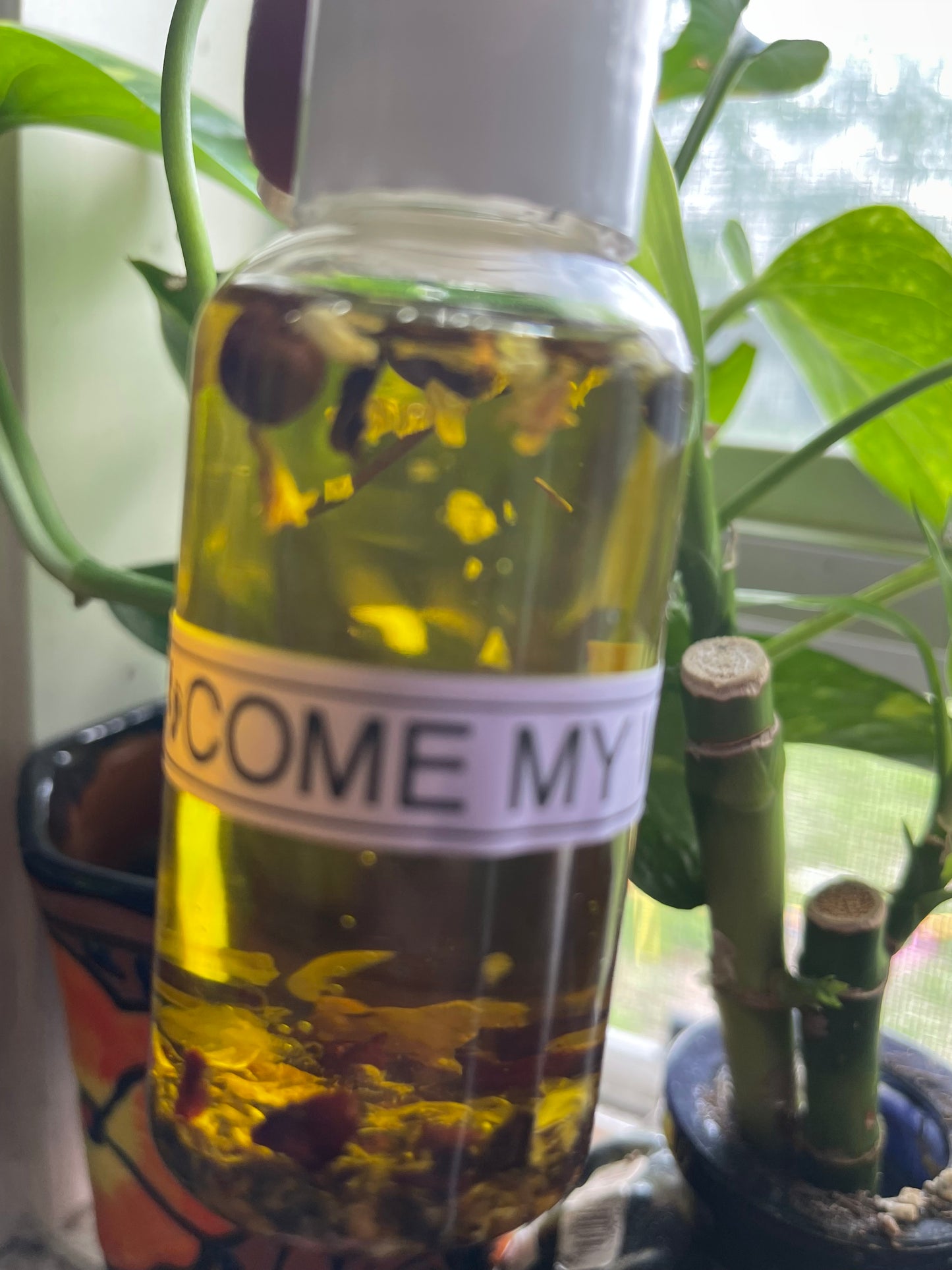 Come My Way Oil